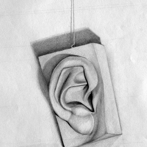 Drawing Course drawing of a ear