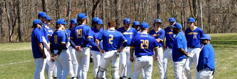 Home Baseball Game