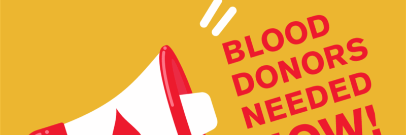 Red Cross Summer Blood Drive